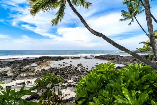 Kailua-kona, HI 96740,76-6246 ALII DR #224