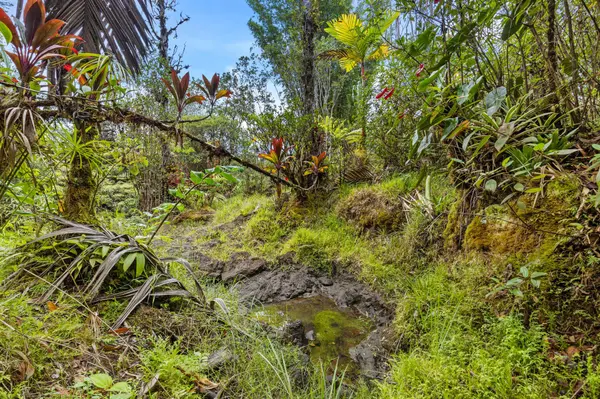 29-2828 KAIWIKI HOMESTEAD RD, Hakalau, HI 96710