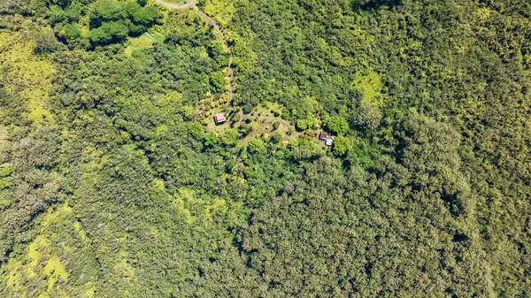 29-2828 KAIWIKI HOMESTEAD RD, Hakalau, HI 96710