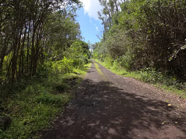 Pahoa, HI 96778,1 LANAI ST