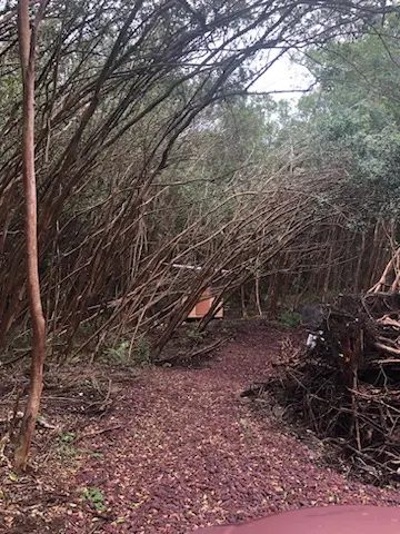 Pahoa, HI 96778,1 LANAI ST