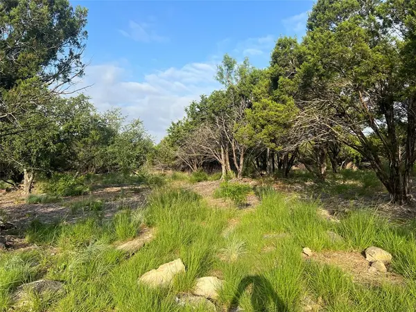 Nemo, TX 76070,1081 Creek Crossing Road