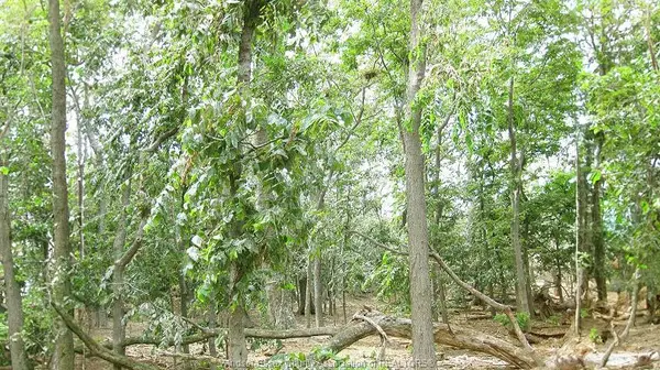 V/L MIDDLE SISTER ISLAND, Pelee Island, ON N0R 1M0