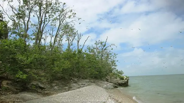 V/L MIDDLE SISTER ISLAND, Pelee Island, ON N0R 1M0
