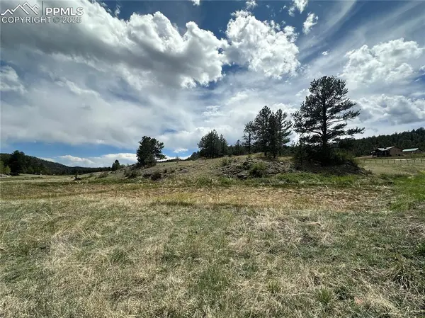 Florissant, CO 80816,2332 County RD