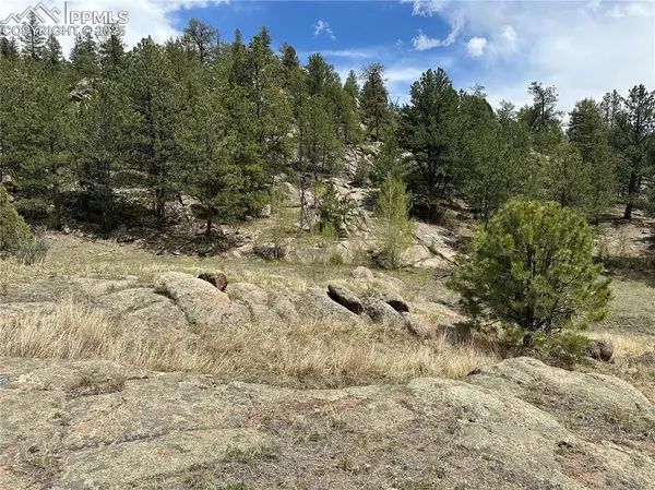 Florissant, CO 80816,2332 County RD