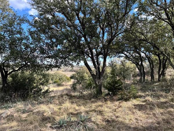 Brownwood, TX 76801,TBD Lot 240 Feather Bay Drive