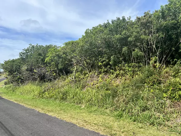 KAULUA ST, Naalehu, HI 96772