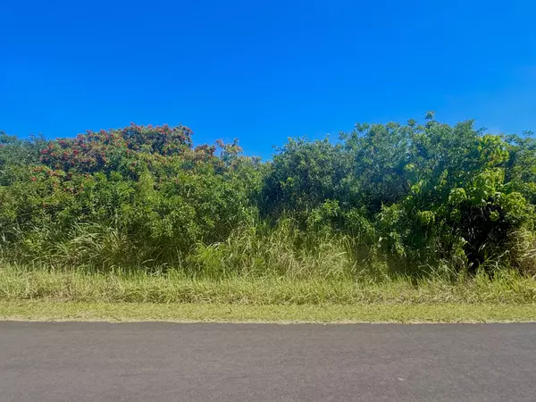 LEWA LANI ST, Naalehu, HI 96772