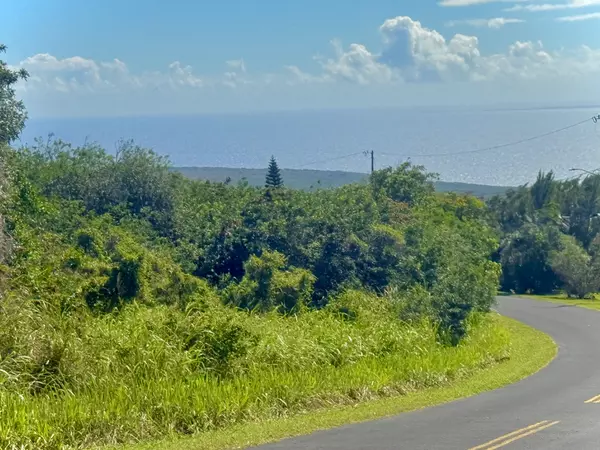 Naalehu, HI 96772,LEWA LANI ST