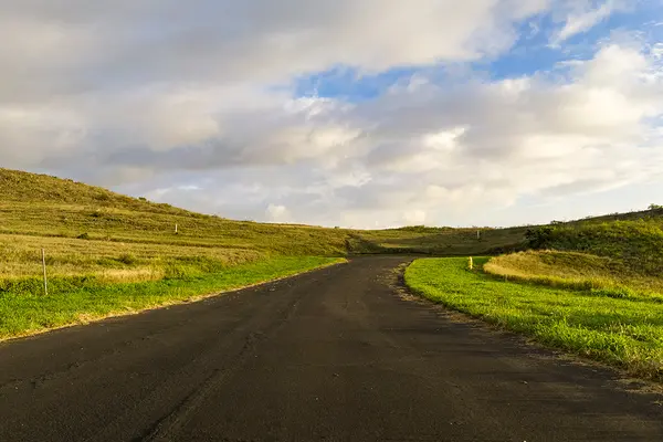 59-111 LEHIWA WAY, Kapaau, HI 96743