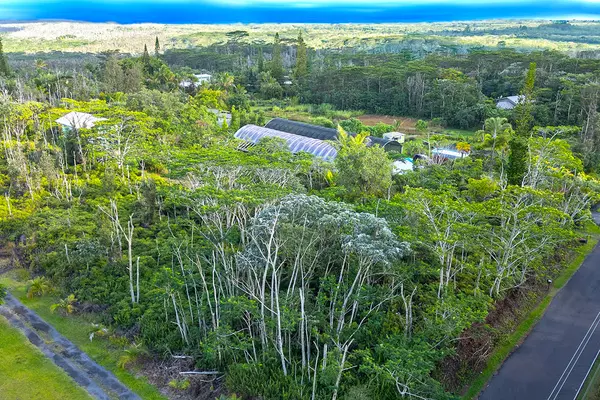 Pahoa, HI 96778,HOOKUPU ST