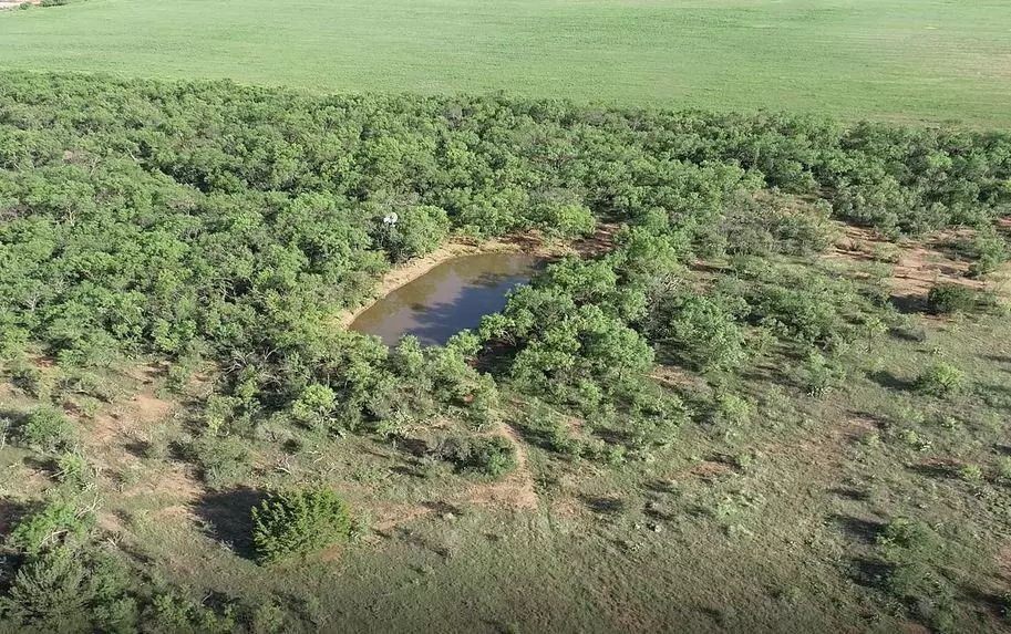 Gouldbusk, TX 76845,TBD County Road 250 Road