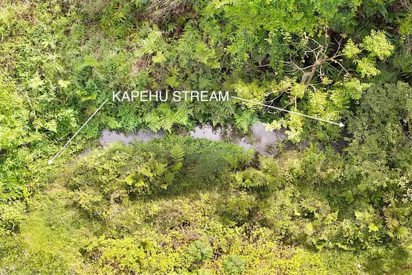 28-668 KAUPAKUEA HOMESTEAD RD, Papaikou, HI 96783