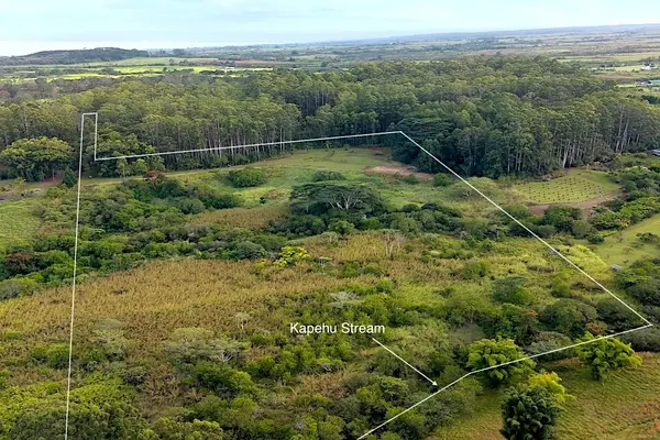 28-668 KAUPAKUEA HOMESTEAD RD, Papaikou, HI 96783