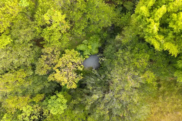 28-668 KAUPAKUEA HOMESTEAD RD, Papaikou, HI 96783