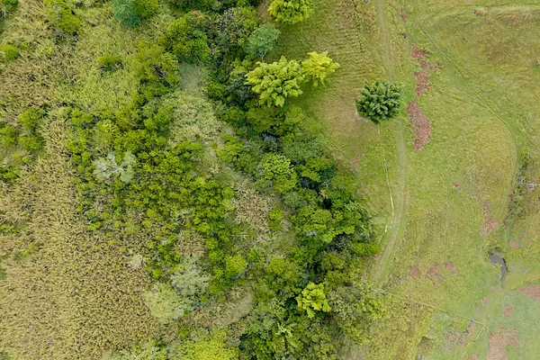 28-668 KAUPAKUEA HOMESTEAD RD, Papaikou, HI 96783