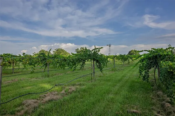 Troup, TX 75789,00 County Road 2138