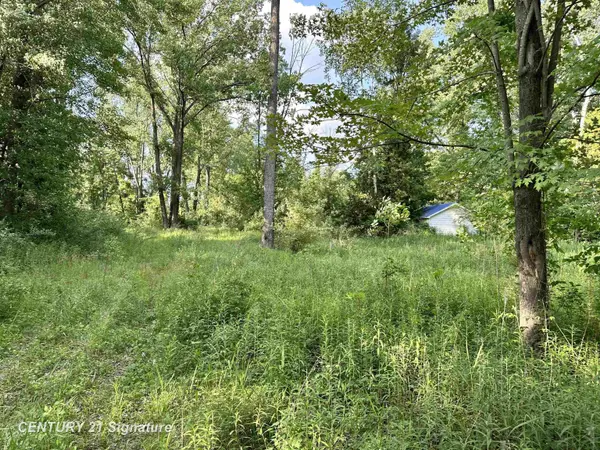 4020 Wieman RD, Billings Twp, MI 48612