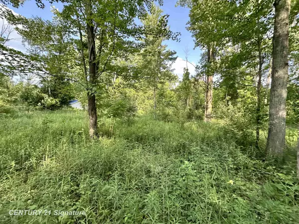 Beaverton, MI 48612,4020 Wieman RD