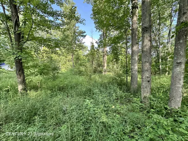 Beaverton, MI 48612,4020 Wieman RD