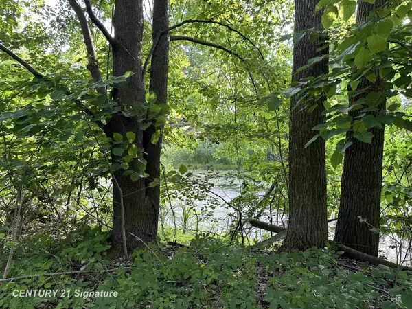 Beaverton, MI 48612,4020 Wieman RD