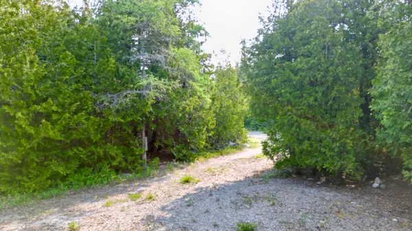 Northern Bruce Peninsula, ON N0H 2R0,94 Pedwell Pt. DR