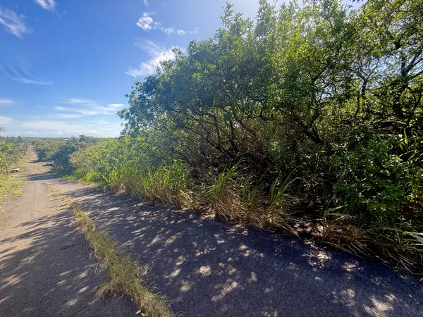 Naalehu, HI 96772,PUA ST