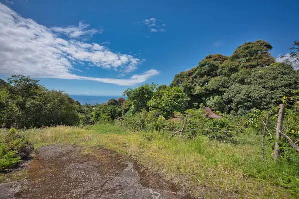 Kealakekua, HI 96750