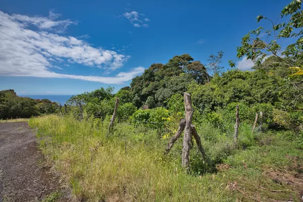 Kealakekua, HI 96750