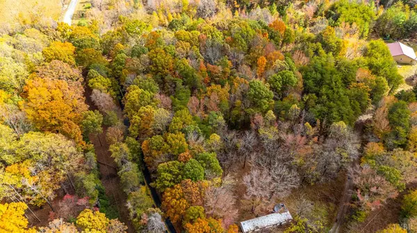 Prospect, VA 23960,0 Prospect Road