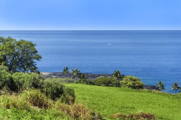 Kealakekua, HI 96750,81-6571 MAMAKA PL