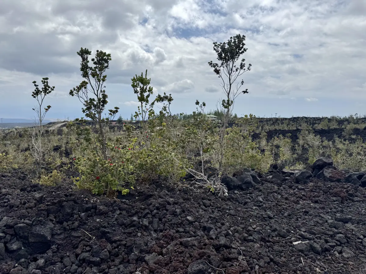 Ocean View, HI 96737