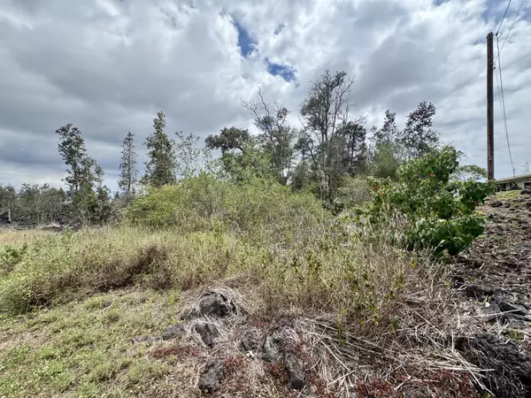 Ocean View, HI 96737