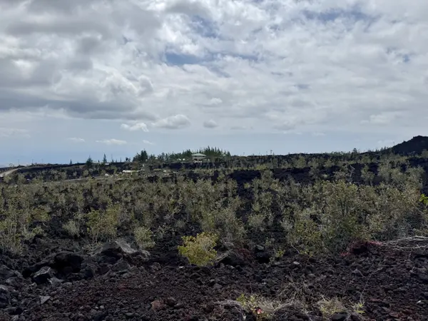 Ocean View, HI 96737