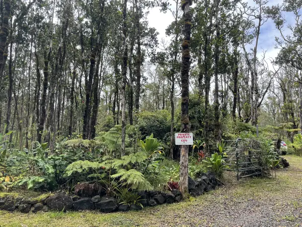 Volcano, HI 96785,OMAOMAO RD