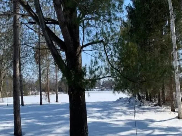 Beaverton, MI 48612,3445 S North