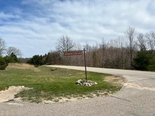 Bellaire, MI 49615,36 Sparrow Hawk DR