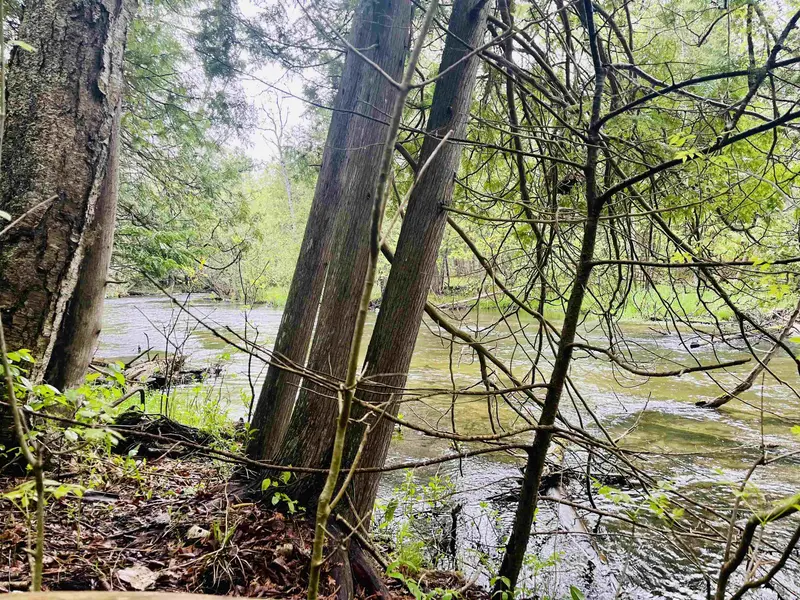 00 Deer Valley Lane, Beulah, MI 49617