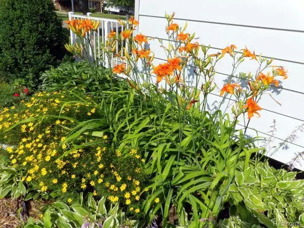 Allen Park, MI 48101,15264 CHAMPAIGN RD