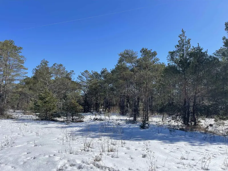 00 Leya Lane, Beulah, MI 49617