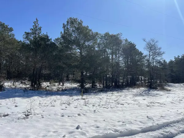 Beulah, MI 49617,00 Leya Lane