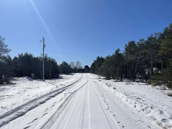 Beulah, MI 49617,00 Leya Lane