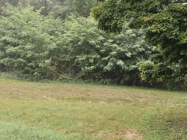 VL Weeks ST, Allegan City, MI 49010