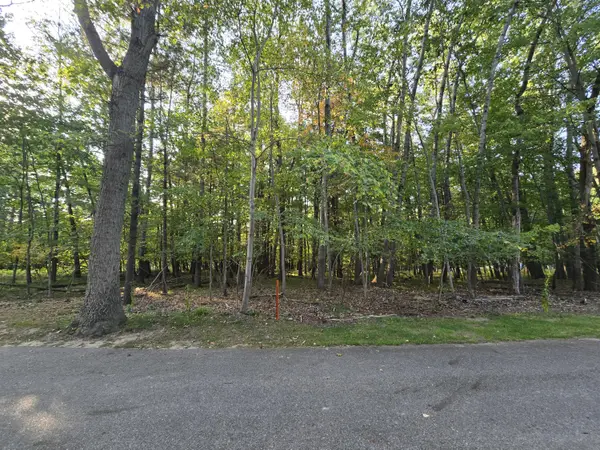 Canadian Lakes, MI 49346,6718 Beechnut Ridge