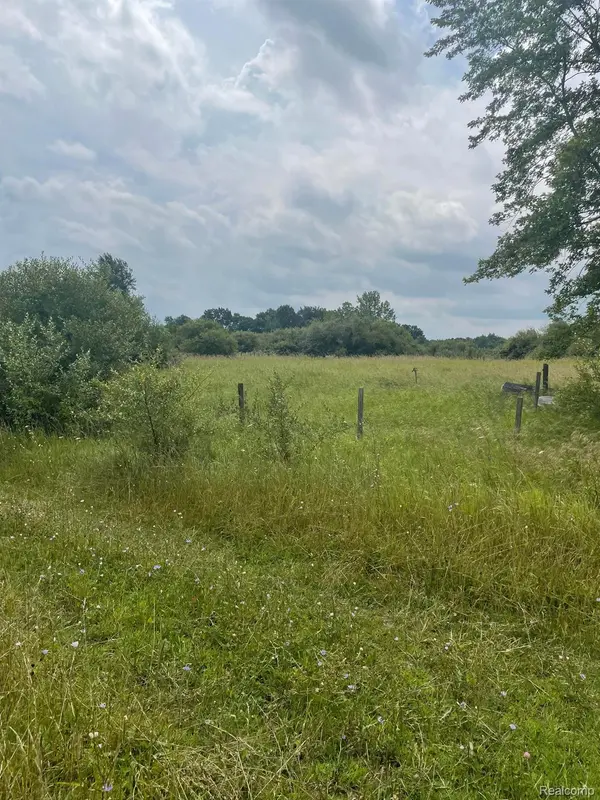 0000 BRAUER RD, Metamora Twp, MI 48371