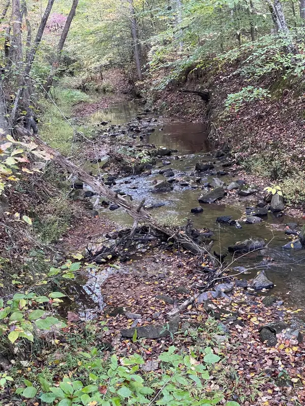 Nathalie, VA 24577,0 Felix RD