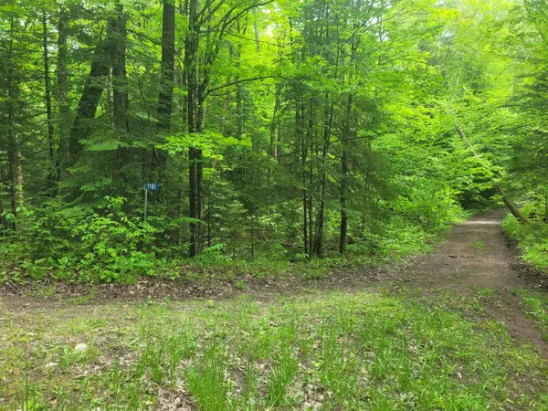 Dysart Et Al, ON K0M 1S0,1191 Odessa TRL