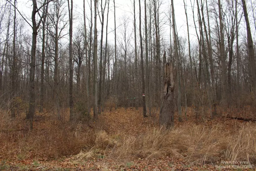 0 Orban Parcel B RD, Grass Lake, MI 49240