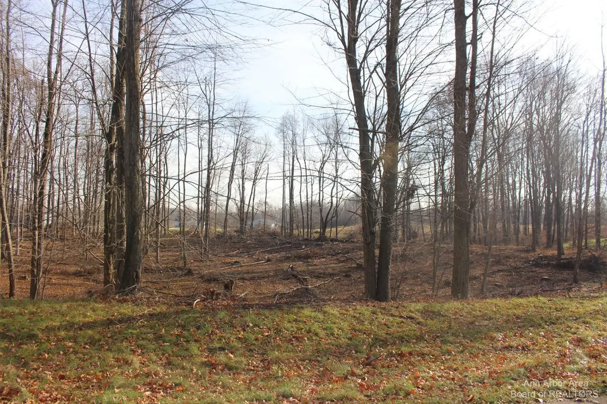 Jackson, MI 49201,0 Lindsey Unit 14 RD